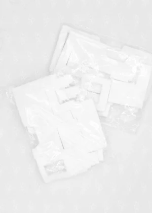 Canon Kit Absorbeur d'encre QY5-0558